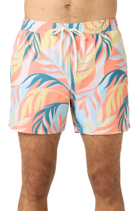Hermosa Volley Swim Trunks