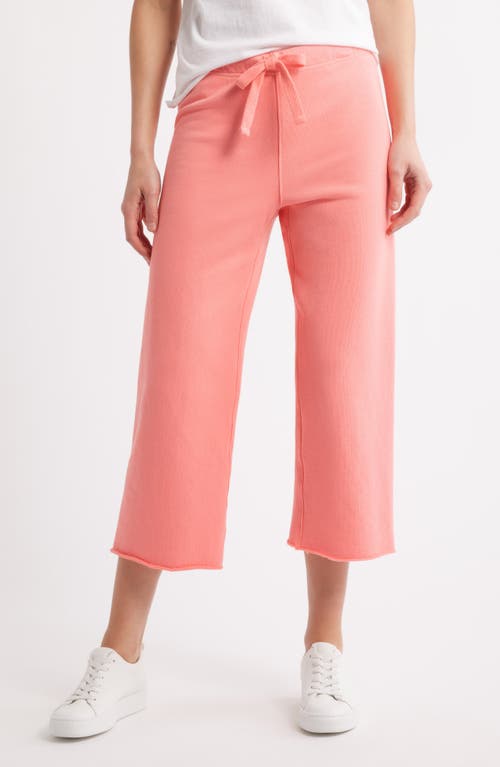 Frank & Eileen Catherine Crop Wide Leg Sweatpants In Passion Fruit
