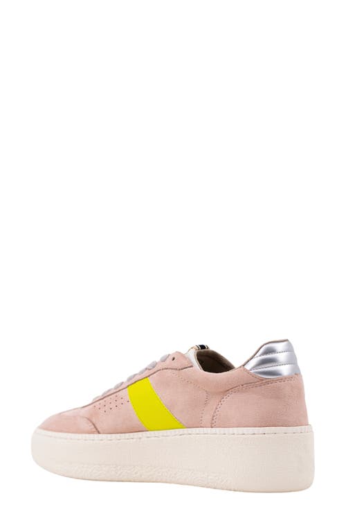 Shushop Stacey Platform Sneaker