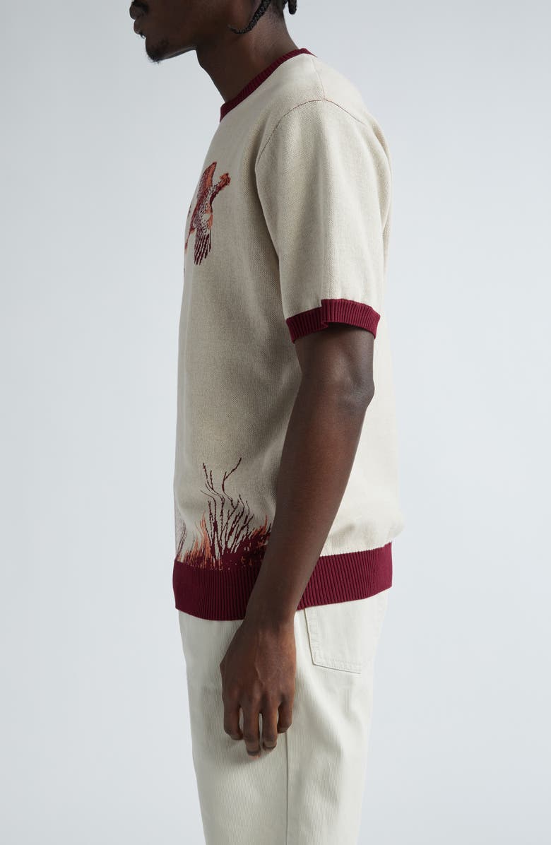 BEAMS Jacquard Knit T-Shirt, Alternate, color, 