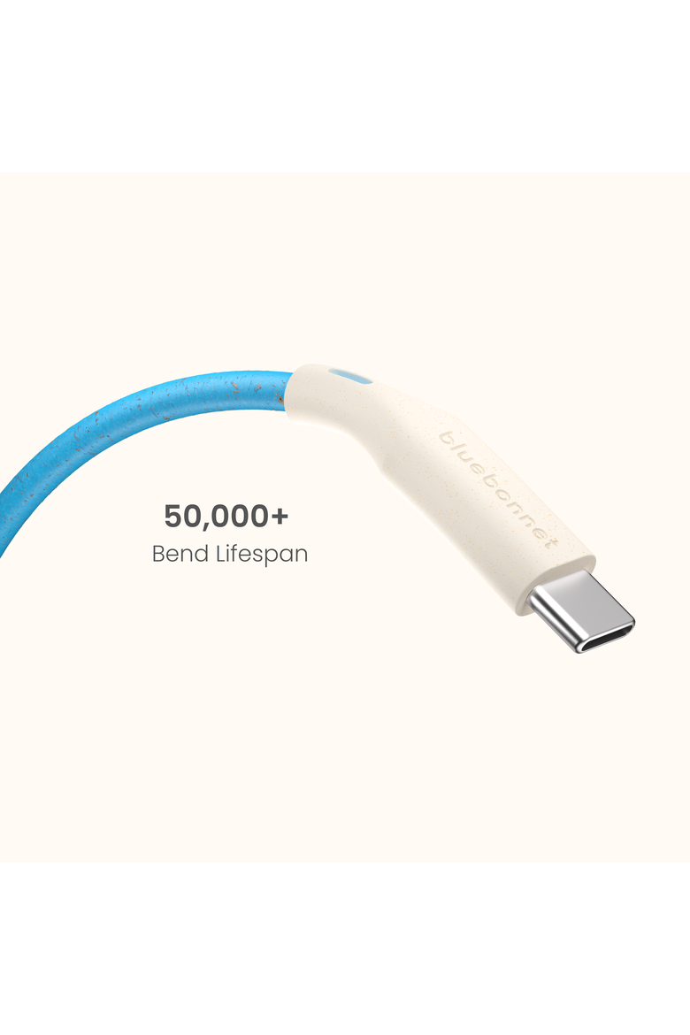 The Companion USB-C to USB-C Cable  4FT, Alternate, color, Blue
