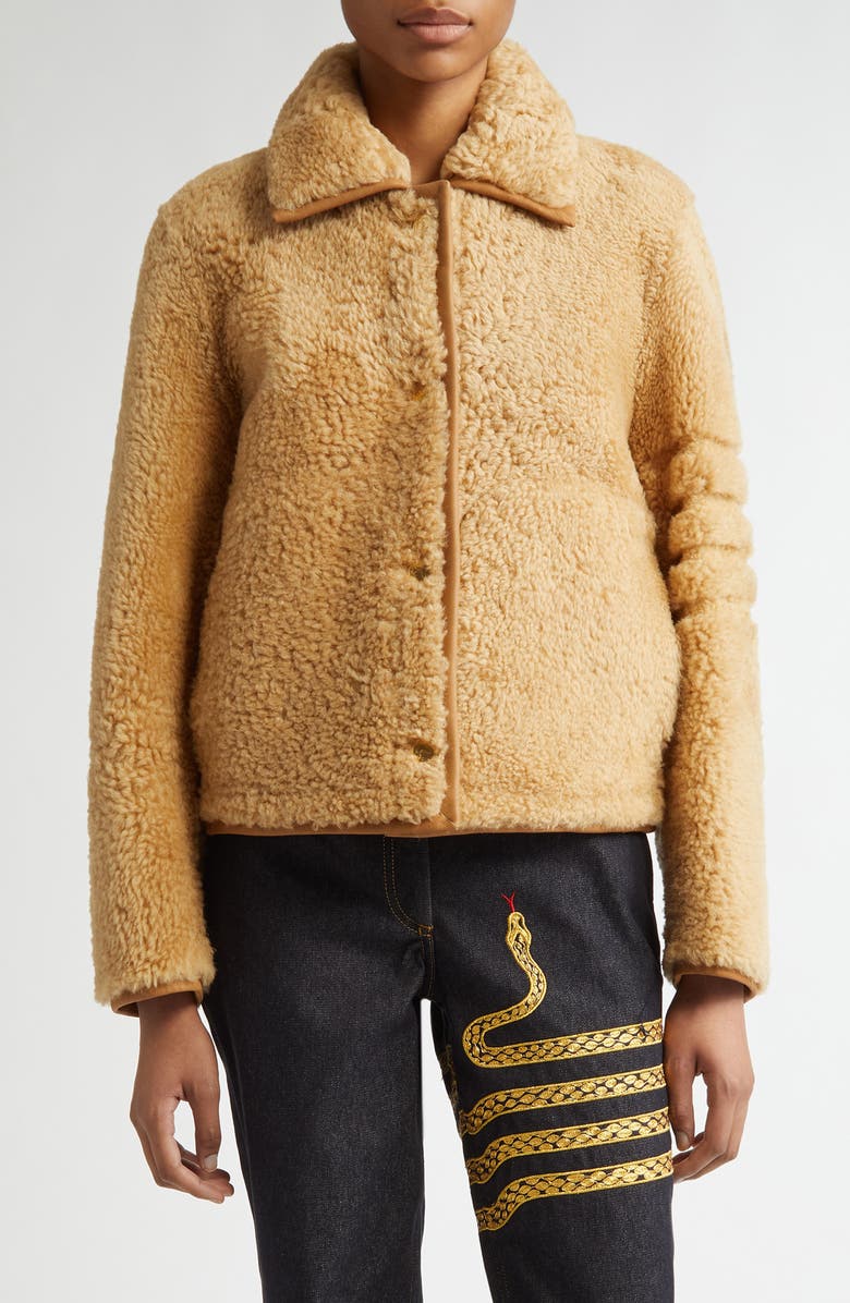 Thom Browne Genuine Shearling Jacket, Main, color, Camel
