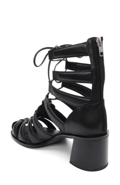 Ash Juvia Lace-up Gladiator Sandal In Black