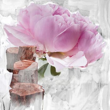 BYREDO Blanche Eau de Parfum | Nordstrom