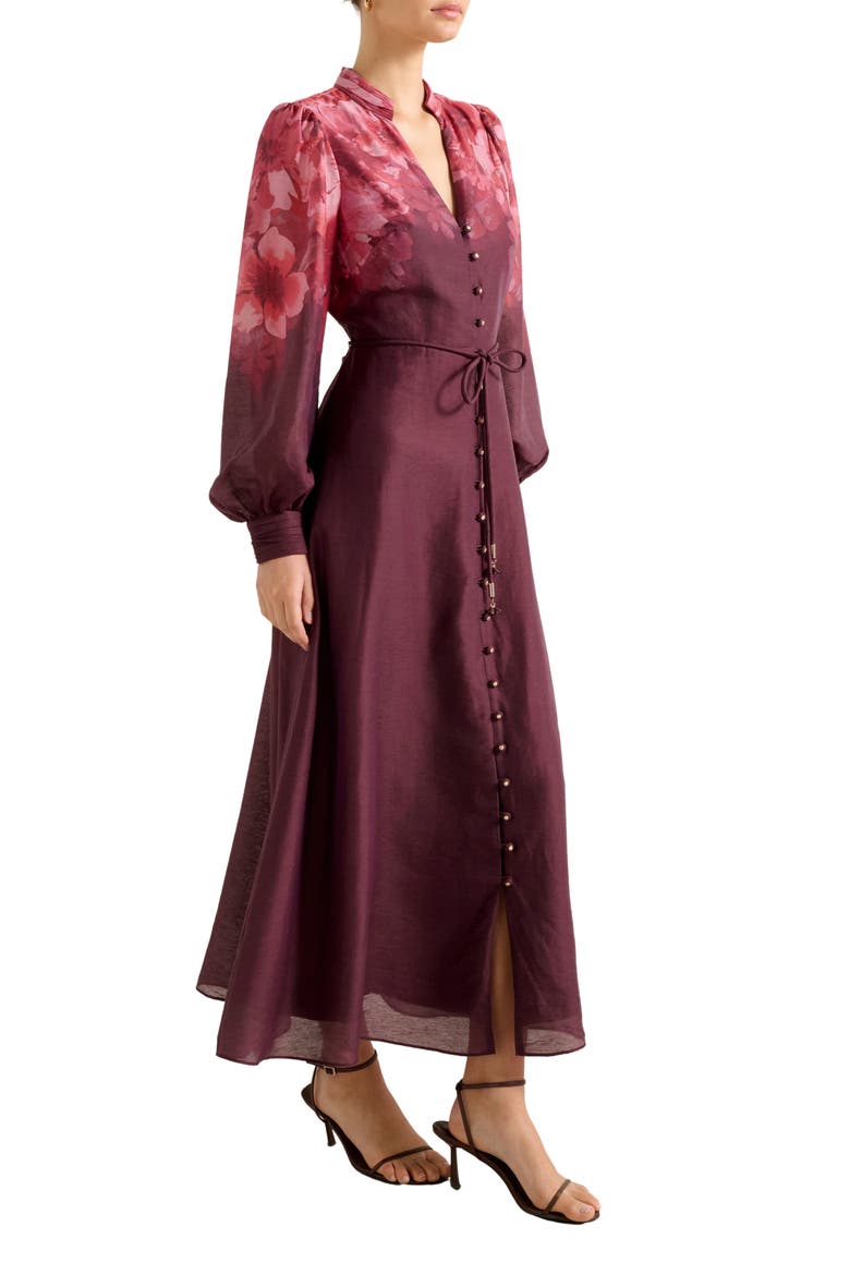 Camilla Long Sleeve Maxi Dress, Alternate, color, PLACEMENT PRINT