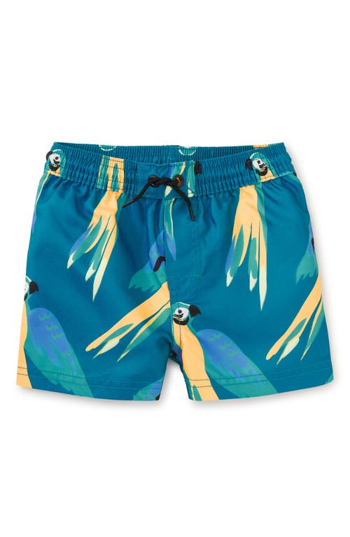 Tea Collection Mid-length Swim Trunks 3.0 In Blue & Yellow Macaws