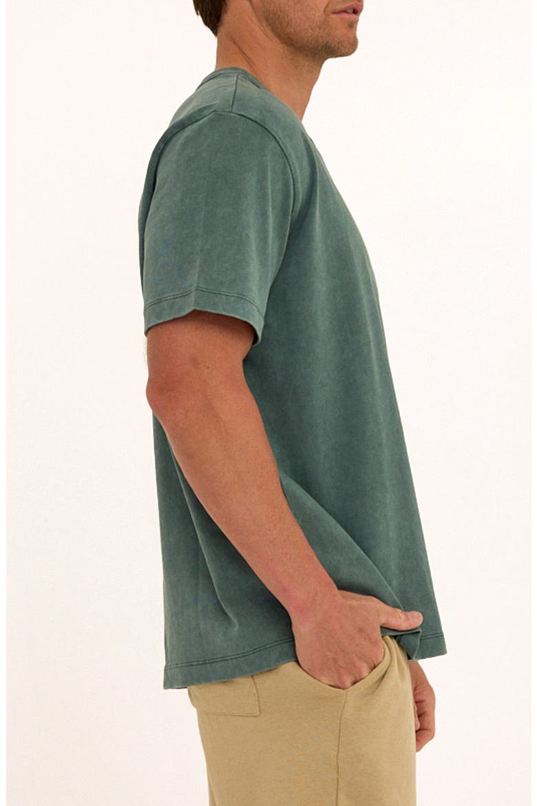 Desert Life Cotton Graphic T-Shirt, Alternate, color, PEACOCK