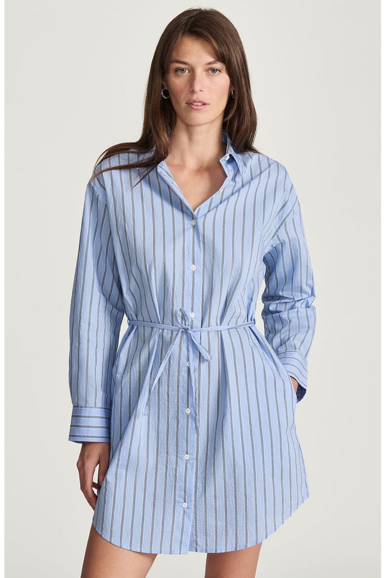Stripe Tie Waist Long Sleeve Shirtdress, Alternate, color, BLUE STRIPED