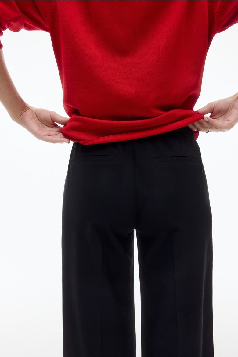 Mama Wide-leg Dress Pants, Alternate, color, Black
