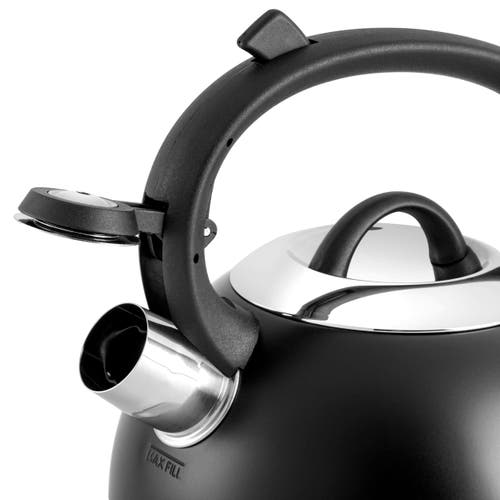 Mr Coffee Mr. Coffee Flintshire 1.75 Quart Whistling Stovetop Tea Kettle In Black