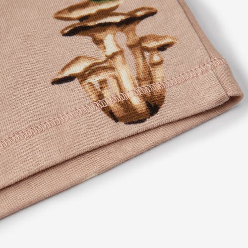 Milkbarn Organic Cotton Dress And Legging Set In Brown