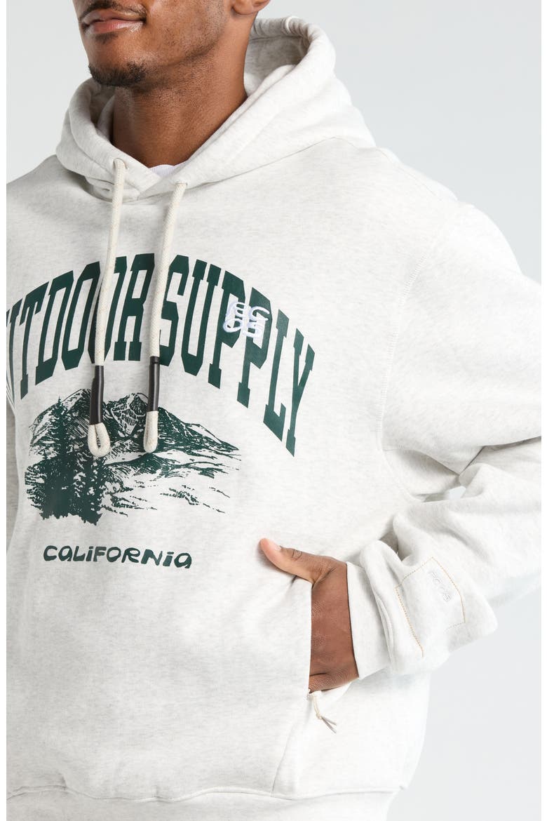 Gender Inclusive Logo Graphic Hoodie, Alternate, color, HEATHER GREY