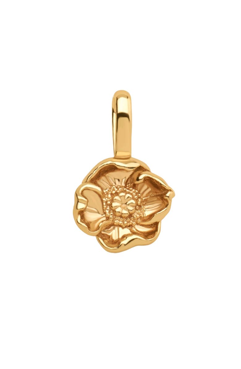 MADE BY MARY August Birth Flower Charm, Main, color, Gold Vermeil