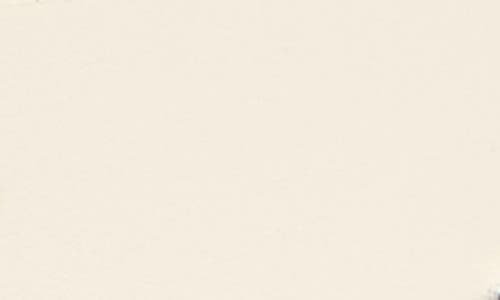 Cole Haan Beveled Buckle Belt In White