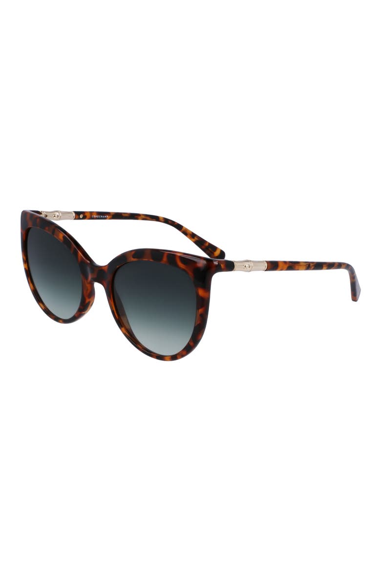 Roseau 53mm Gradient Cat Eye Sunglasses, Alternate, color, HAVANA