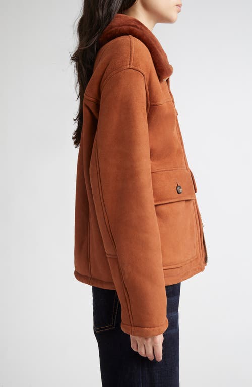 Eleventy Genuine Merino Shearling Aviator Jacket In Brown