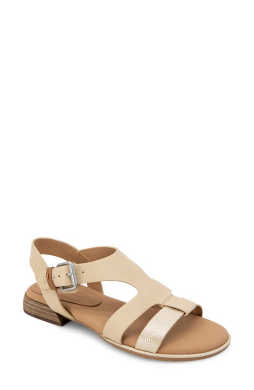 Gentle Souls By Kenneth Cole Haisley Ankle Strap Sandal In Sand Leather