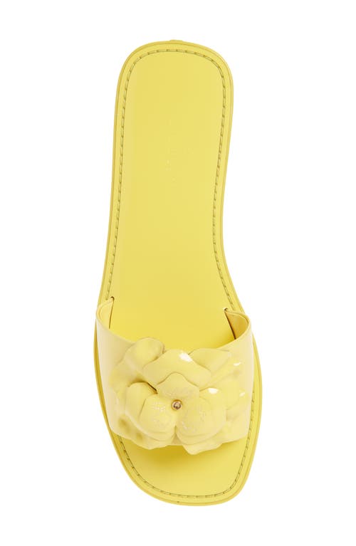 KATE SPADE KATE SPADE NEW YORK SANTANA SLIDE SANDAL 