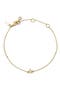  Clear/ Gold