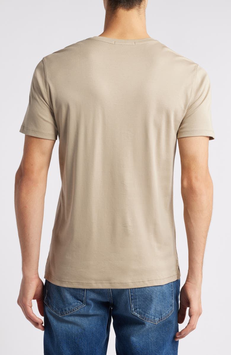 Robert Barakett Georgia Regular Fit V-Neck T-Shirt, Alternate, color, Twine