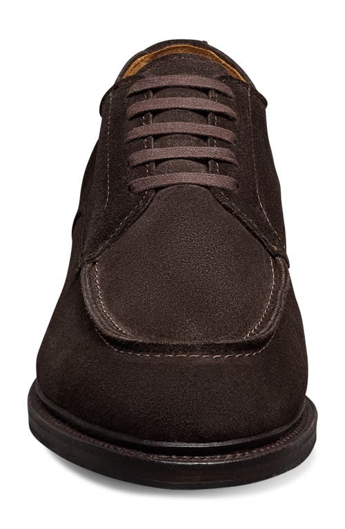 Allen Edmonds Rivington Suede Moc Toe Derby In Animal Print
