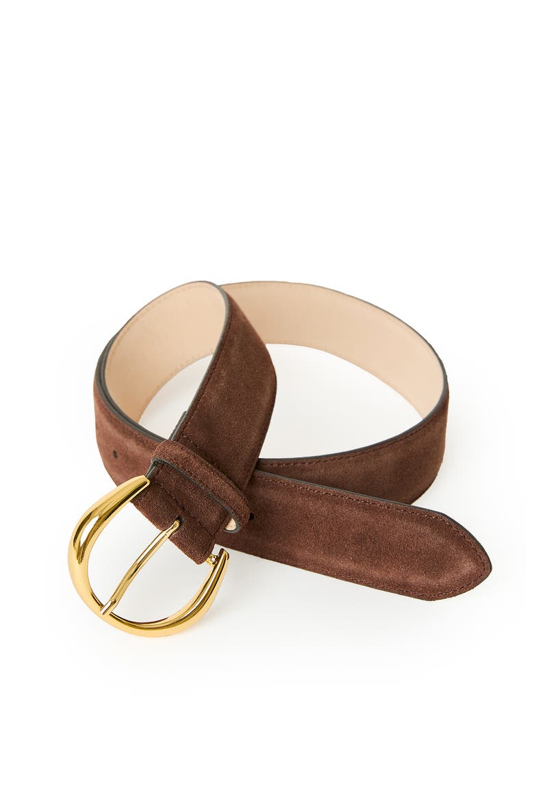 Odessa Suede Belt, Alternate, color, CHOCOLATE GOLD