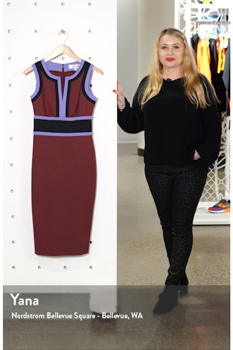 Maribel Colorblock Sleeveless Sheath Dress video