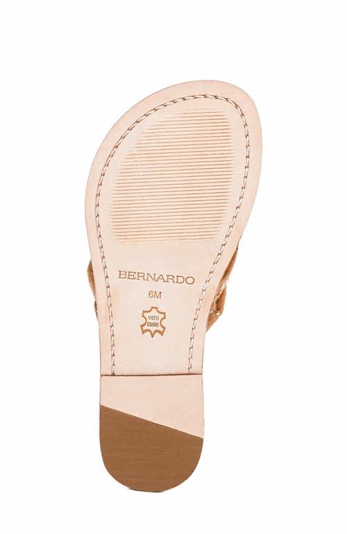 BERNARDO FOOTWEAR BERNARDO FOOTWEAR MIAMI THONG SANDAL