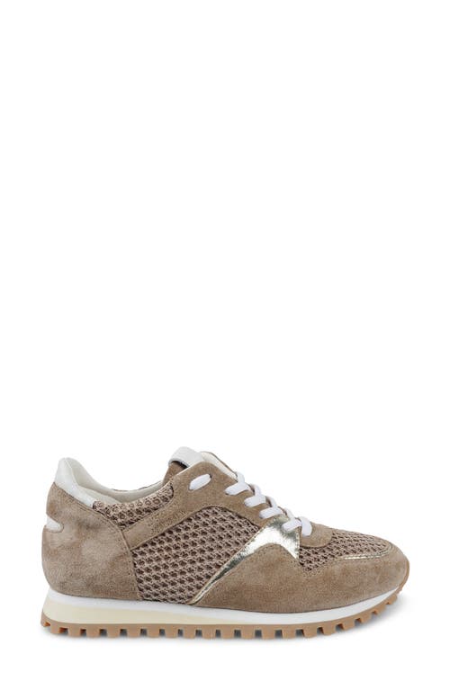 Zigi Porsh Sneaker In Multi