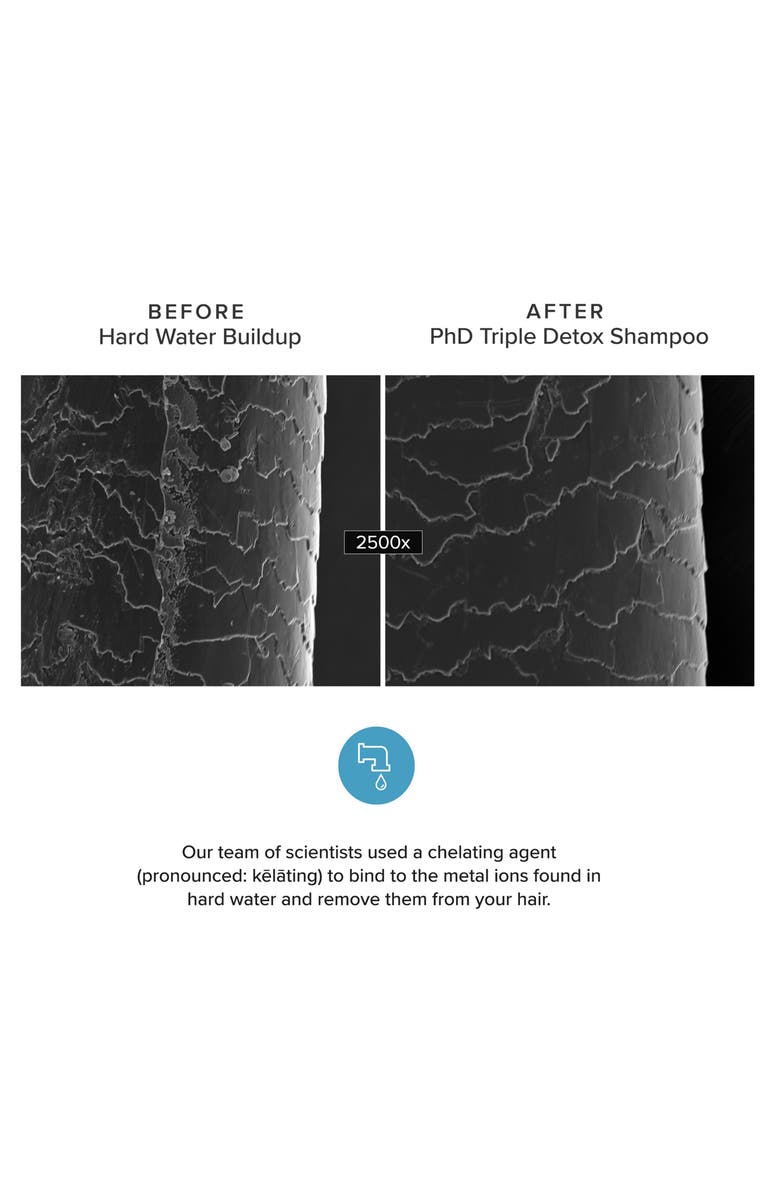 Living proof<sup>®</sup> Perfect hair Day<sup>™</sup> Triple Detox Shampoo, Alternate, color,