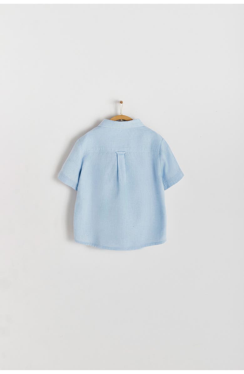 Babycottons Premium Cotton Celebration Thomas Shirt for Toddler, Alternate, color, Pastel Blue