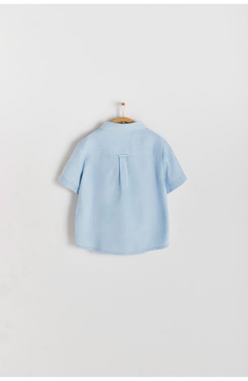 Babycottons Celebration Shirt In Pastel Blue