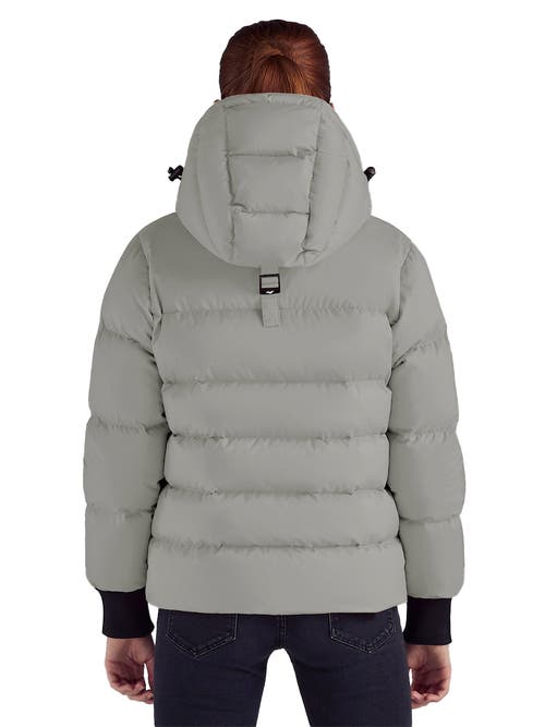 Triple F.a.t. Goose Puffer Down Jacket In Gray