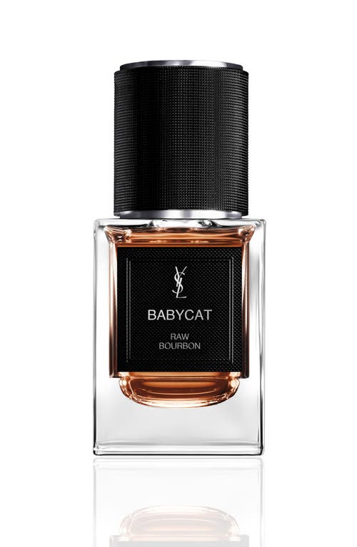 Saint Laurent Yves Babycat In Transparent