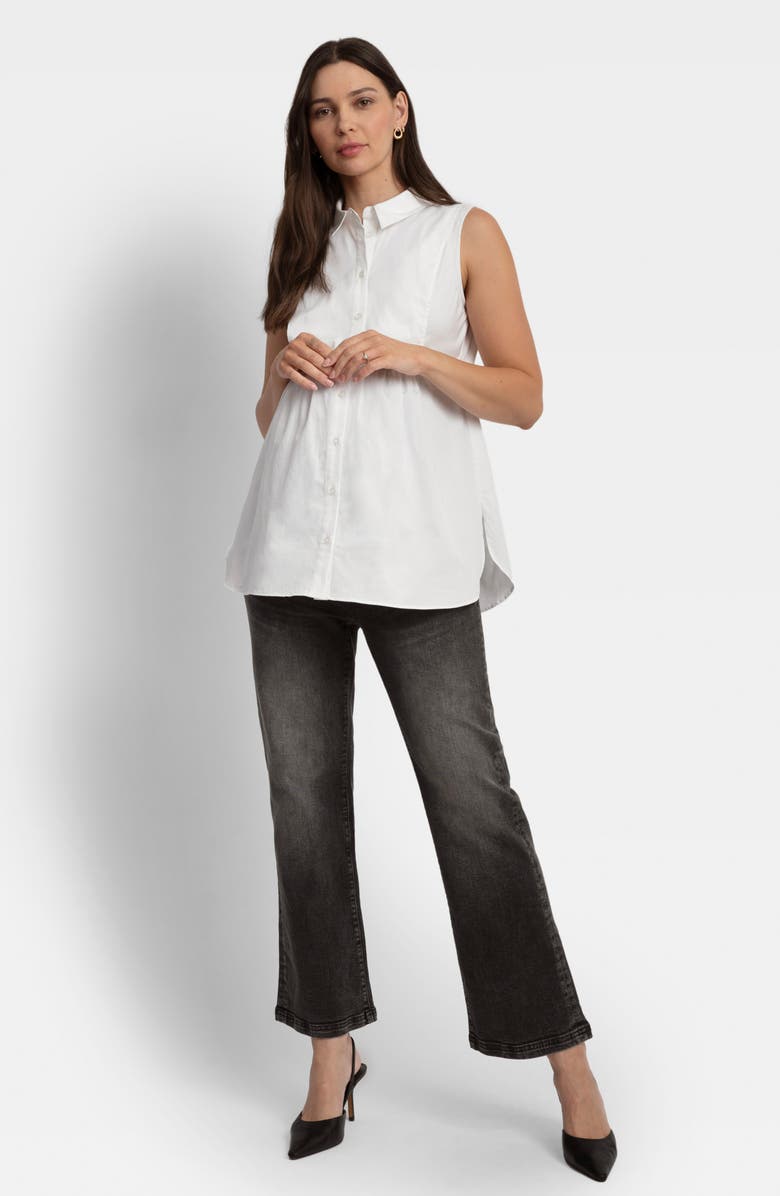 Seraphine Crewneck Maternity Sweater & Button-Up Shirt Set, Alternate, color,