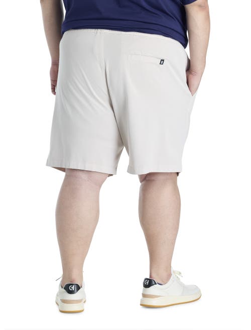 Psycho Bunny Big & Tall Willis Stretch Shorts In White