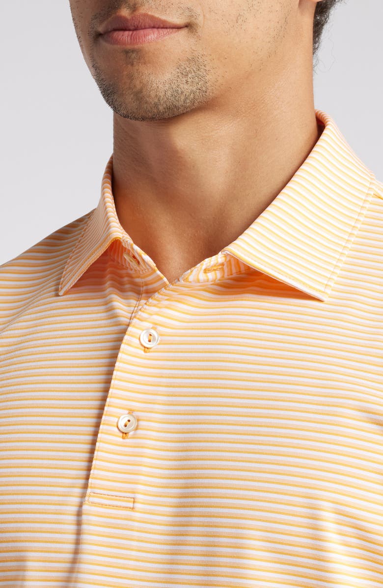 Peter Millar Cedar Stripe Performance Polo, Alternate, color, 