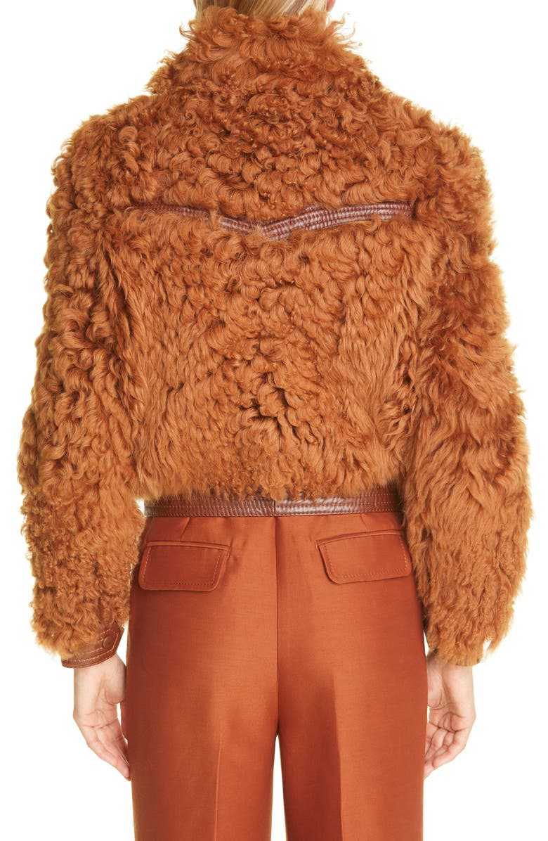 Zimmermann Tempo Crop Genuine Shearling Jacket, Alternate, color, 