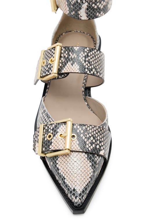 Shop Allsaints Sutton Snakeskin Embossed Pointed Toe Flat In Flow Ecru White
