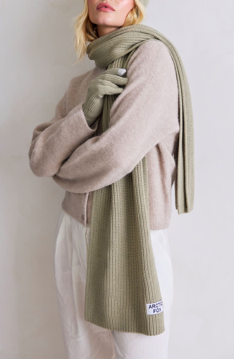 Arctic Fox & Co The Recycled Bottle Scarf, Main, color, Arctic Grey