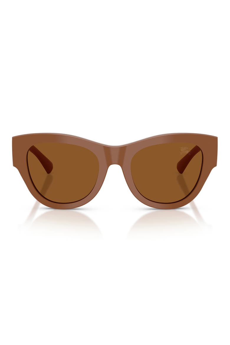 52mm Round Sunglasses, Main, color, BROWN / DARK BROWN