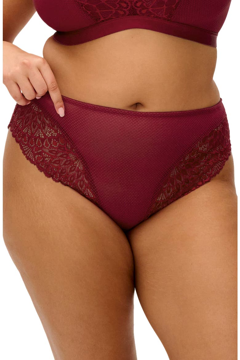 Tiernie Lace Trim Mesh Briefs video