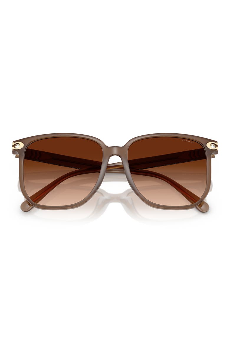 58mm Gradient Square Sunglasses, Alternate, color, MILKY BROWN / BROWN GRADIENT