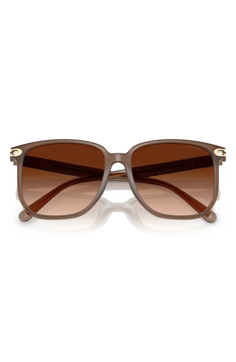 COACH 58mm Gradient Square Sunglasses, Alternate, color, Milky Brown / Brown Gradient