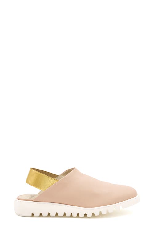 Amalfi By Rangoni Elettrona Slingback Flat In Beige Parm/gold Elastic