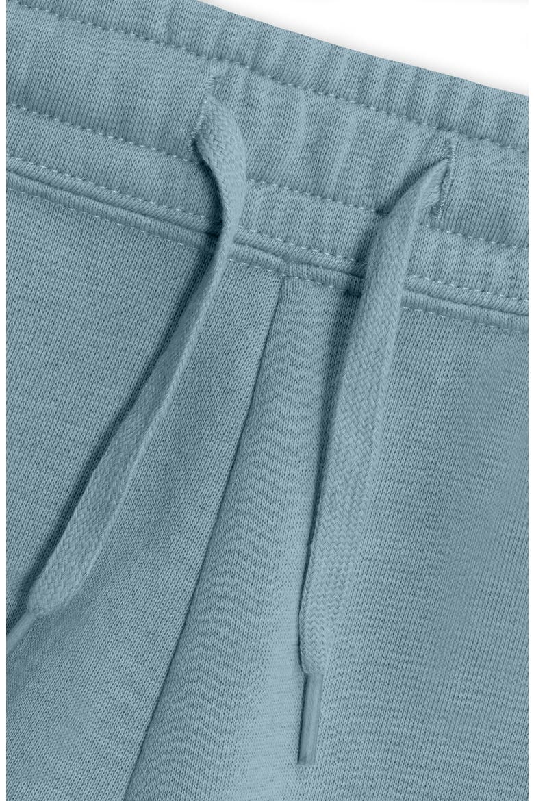 Womens Astronaut Midweight Washed Fleece Shorts, Alternate, color, Misty Blue