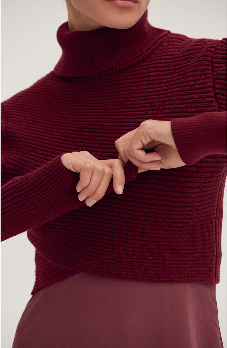 CRESCENT Sweater Top and Dress Set, Alternate, color, Cabernet