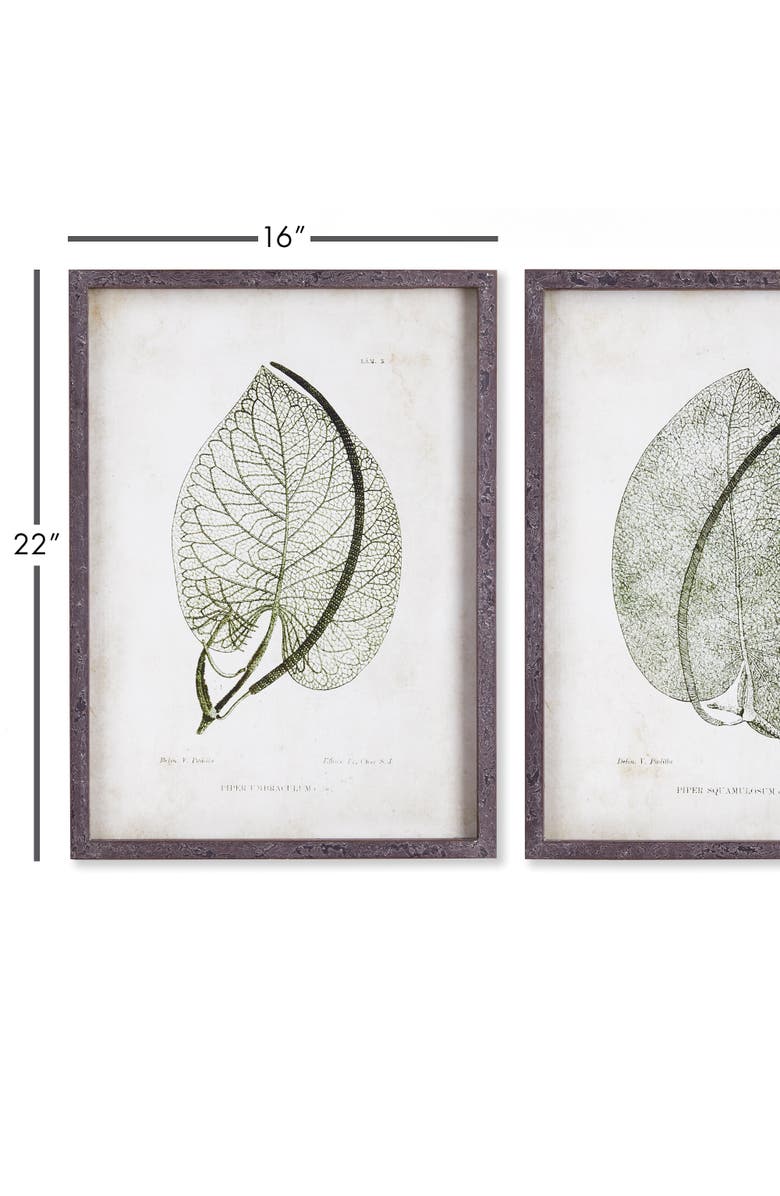 Napa Home & Garden Cordate Leaf Study Set of 2, Alternate, color,