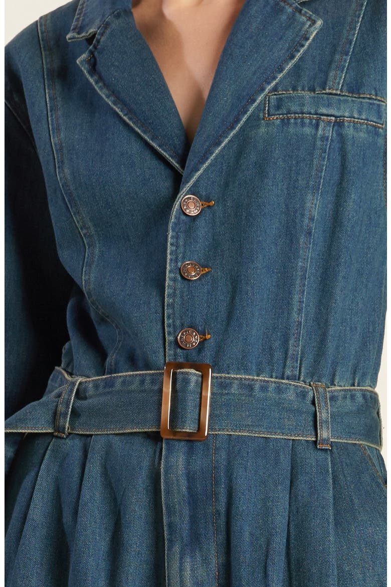 Long Sleeve Denim Jumpsuit, Alternate, color, INDIGO DENIM