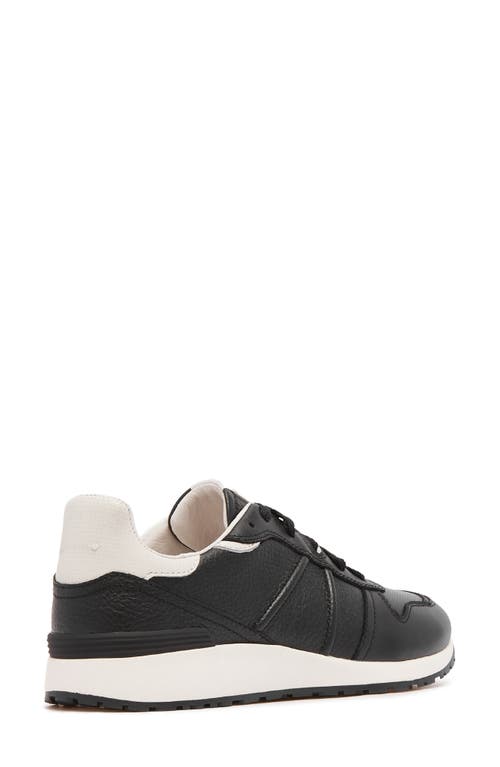 Frankie4 Raider Sneaker In Black